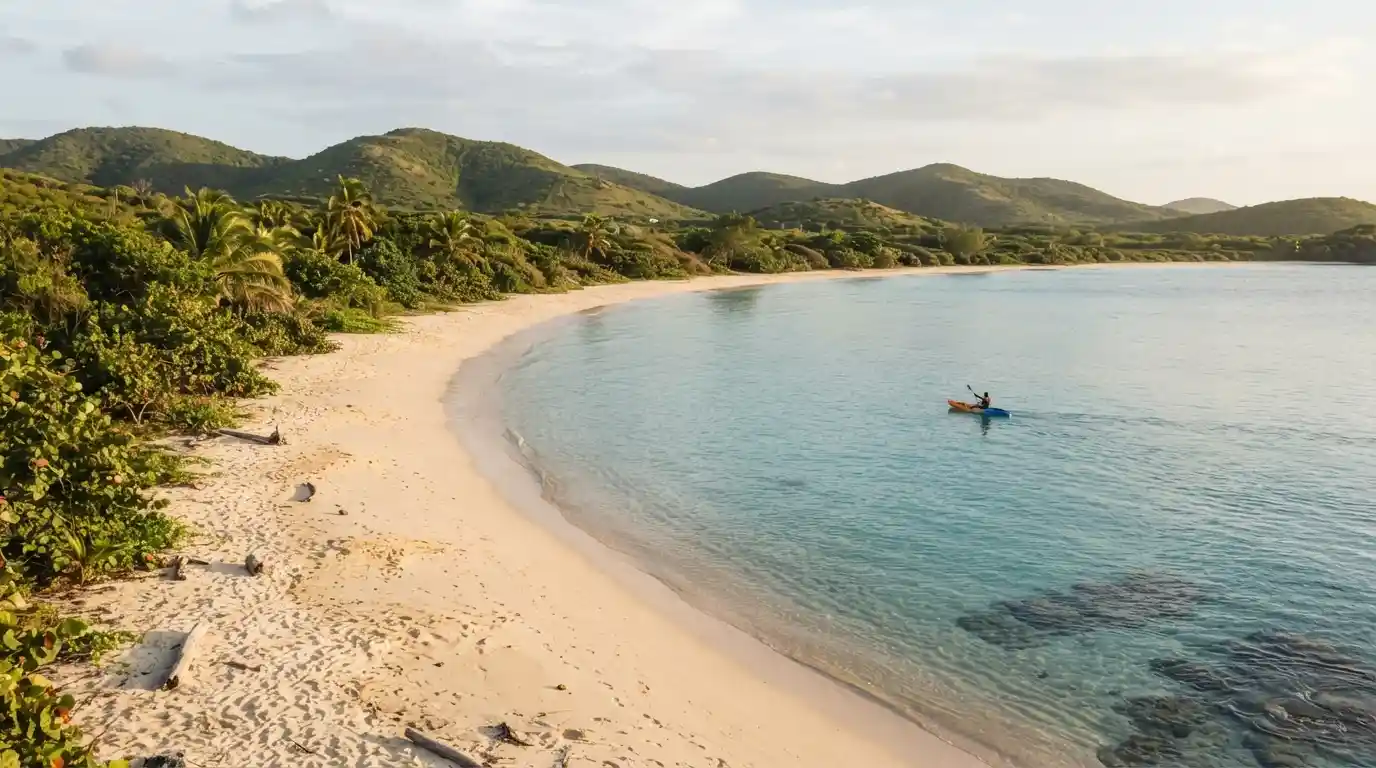 Tropical Vieques coastline with turquoise Caribbean water, sandy beach, lush vegetation, and a kayak offshore